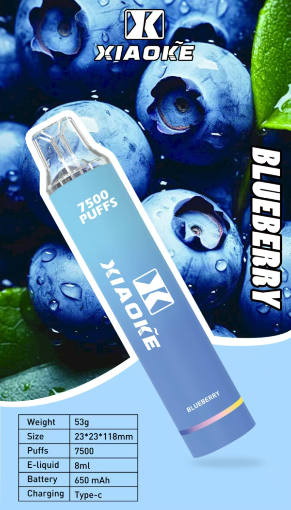 【XIAOKE梟客 抛棄式7500口 】✨滿7隻送一隻✨可充電🔋 限時活動